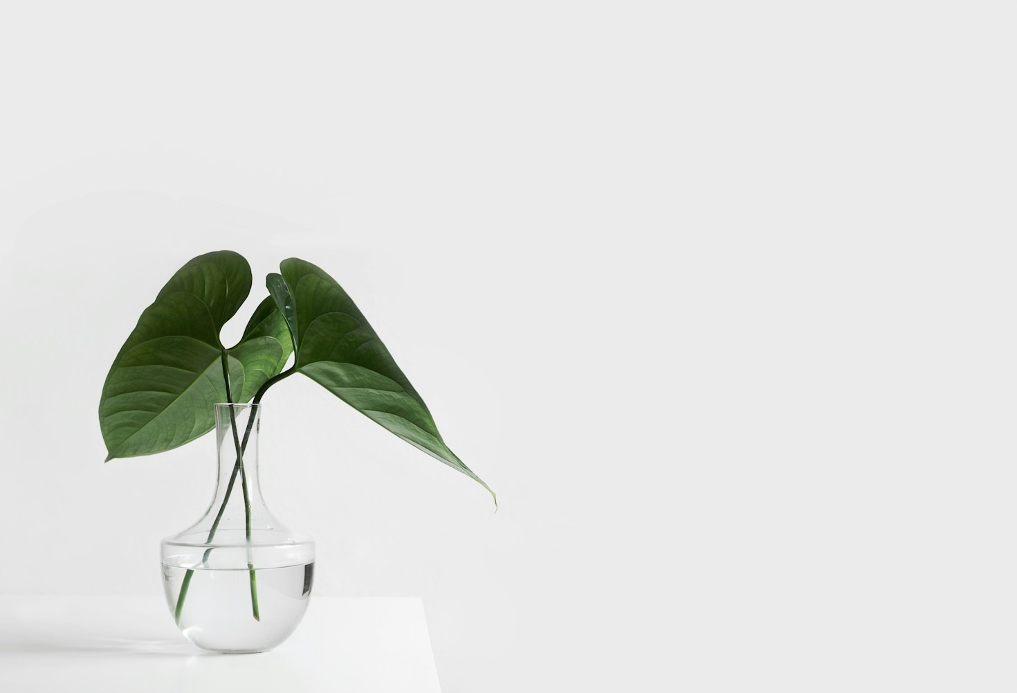 The Beauty of Embracing Simplicity
