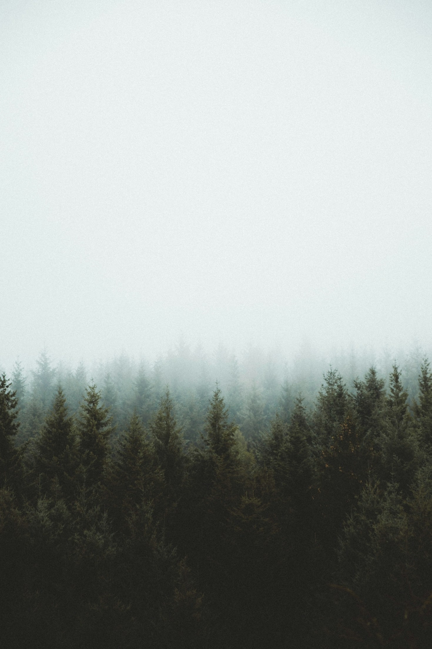 Reflections on Meaningful Living