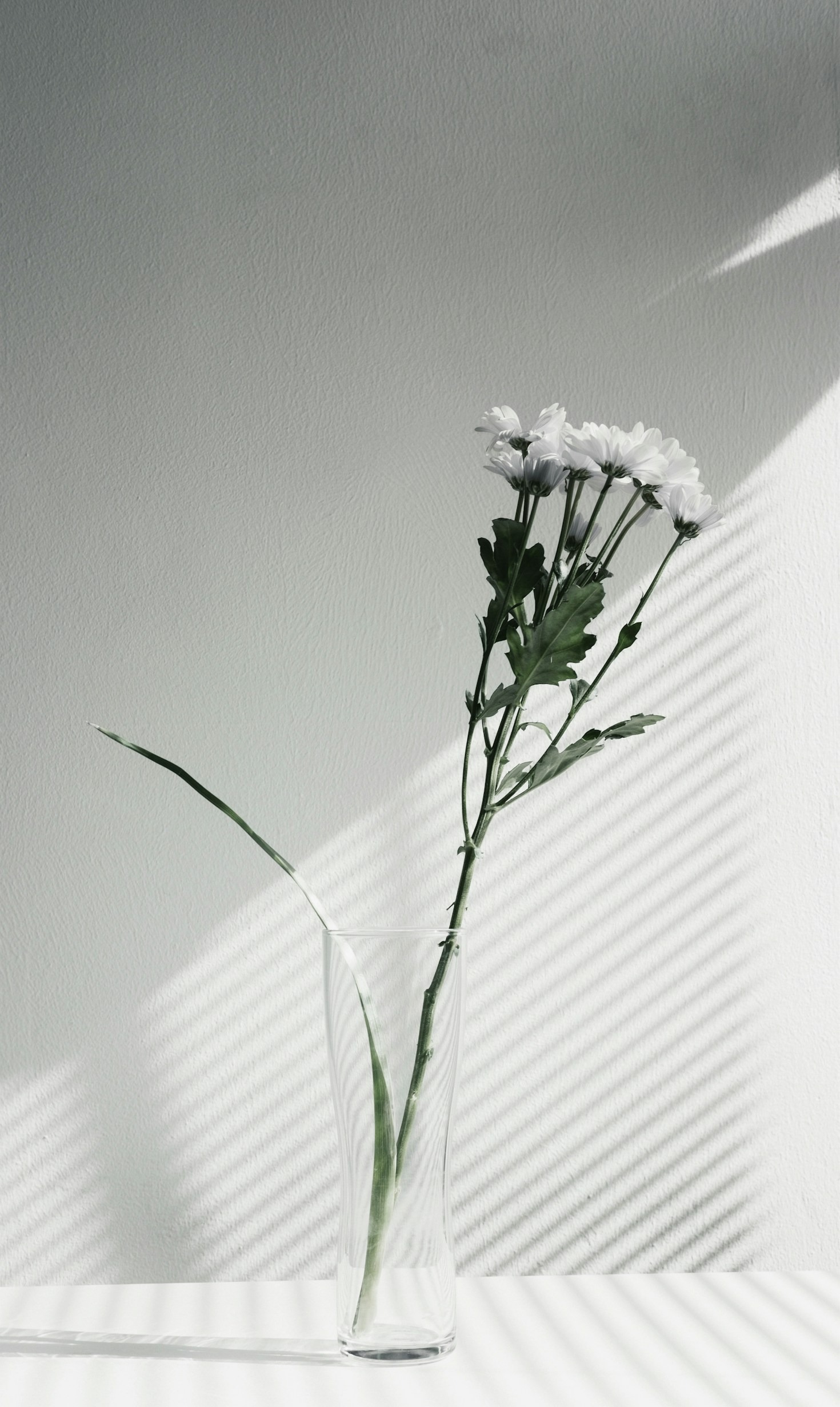 Why Simplicity Matters More Than Ever