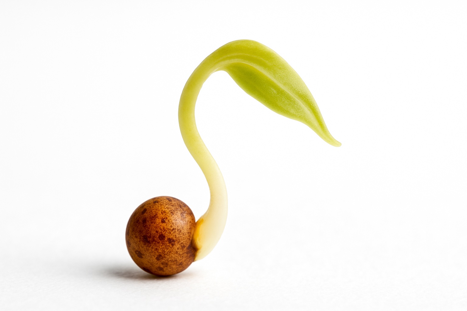 The Power of Starting Small